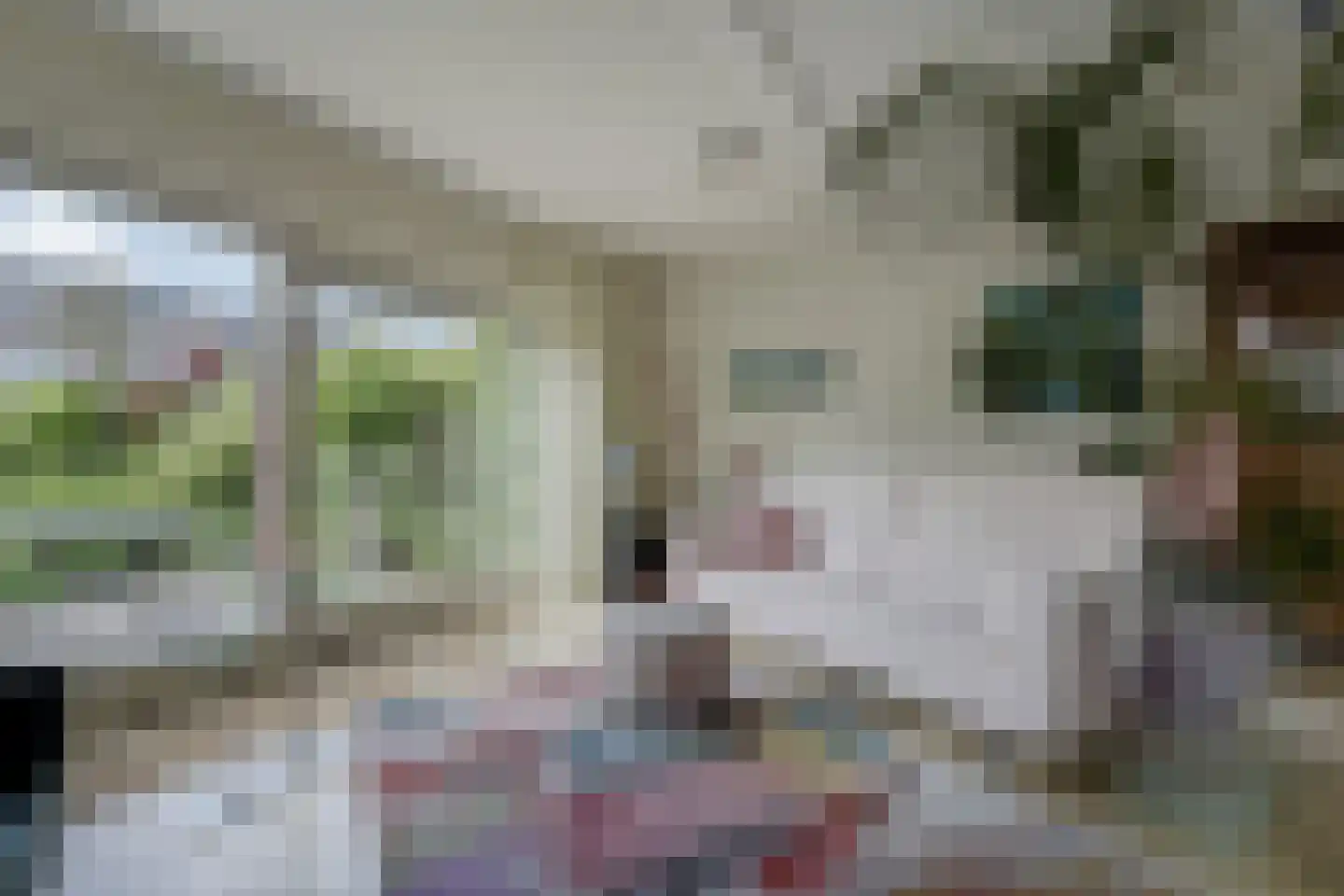Marie Houtmanstraat 19 Alphen aan den Rijn thumbnail 8