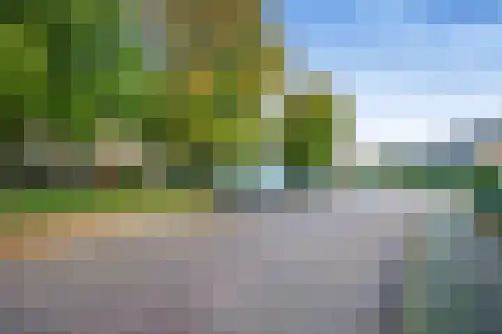 Marie Jungiusstraat 11 Heemskerk thumbnail 33