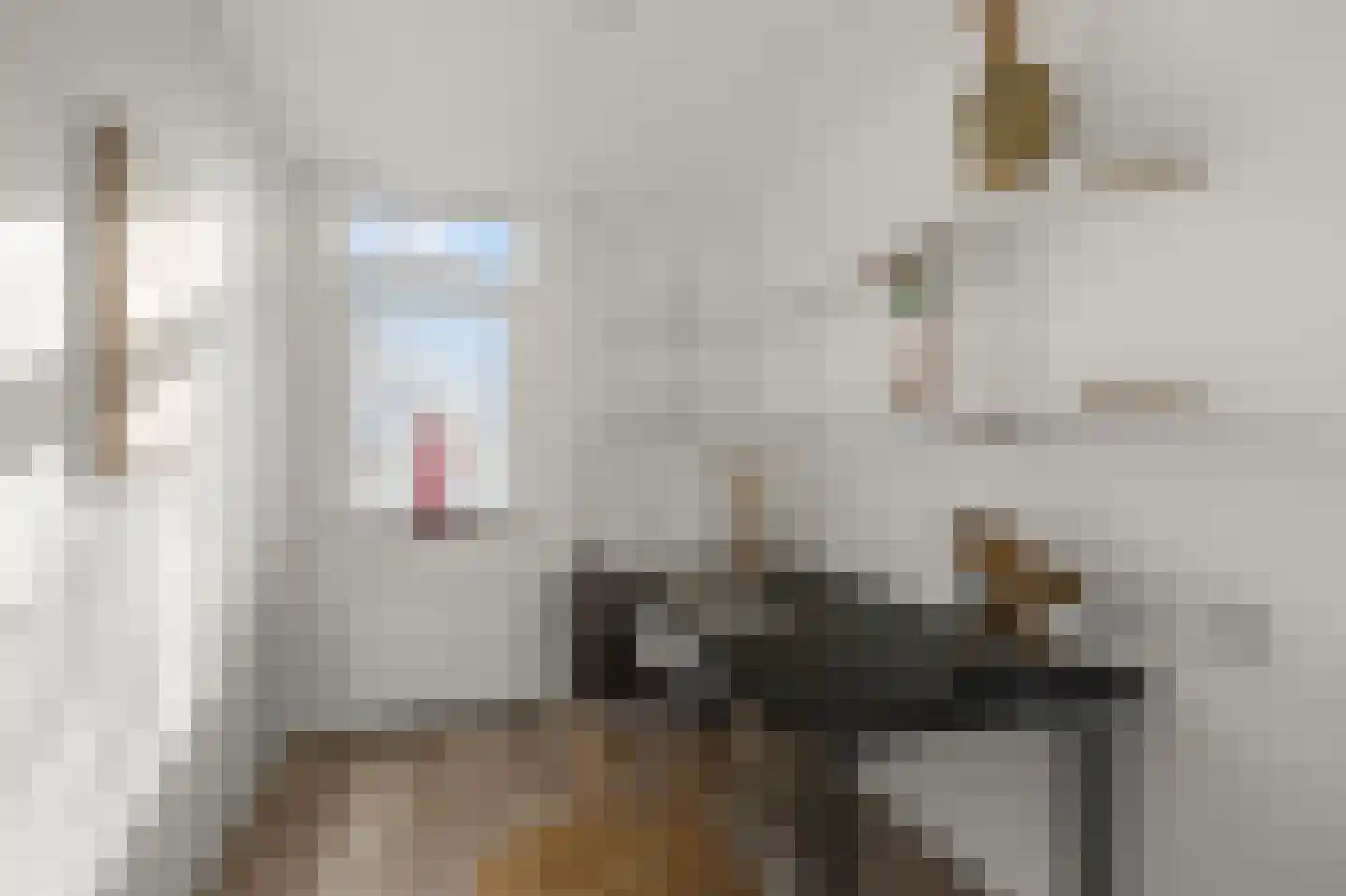 Marie Jungiusstraat 19 Heemskerk thumbnail 18