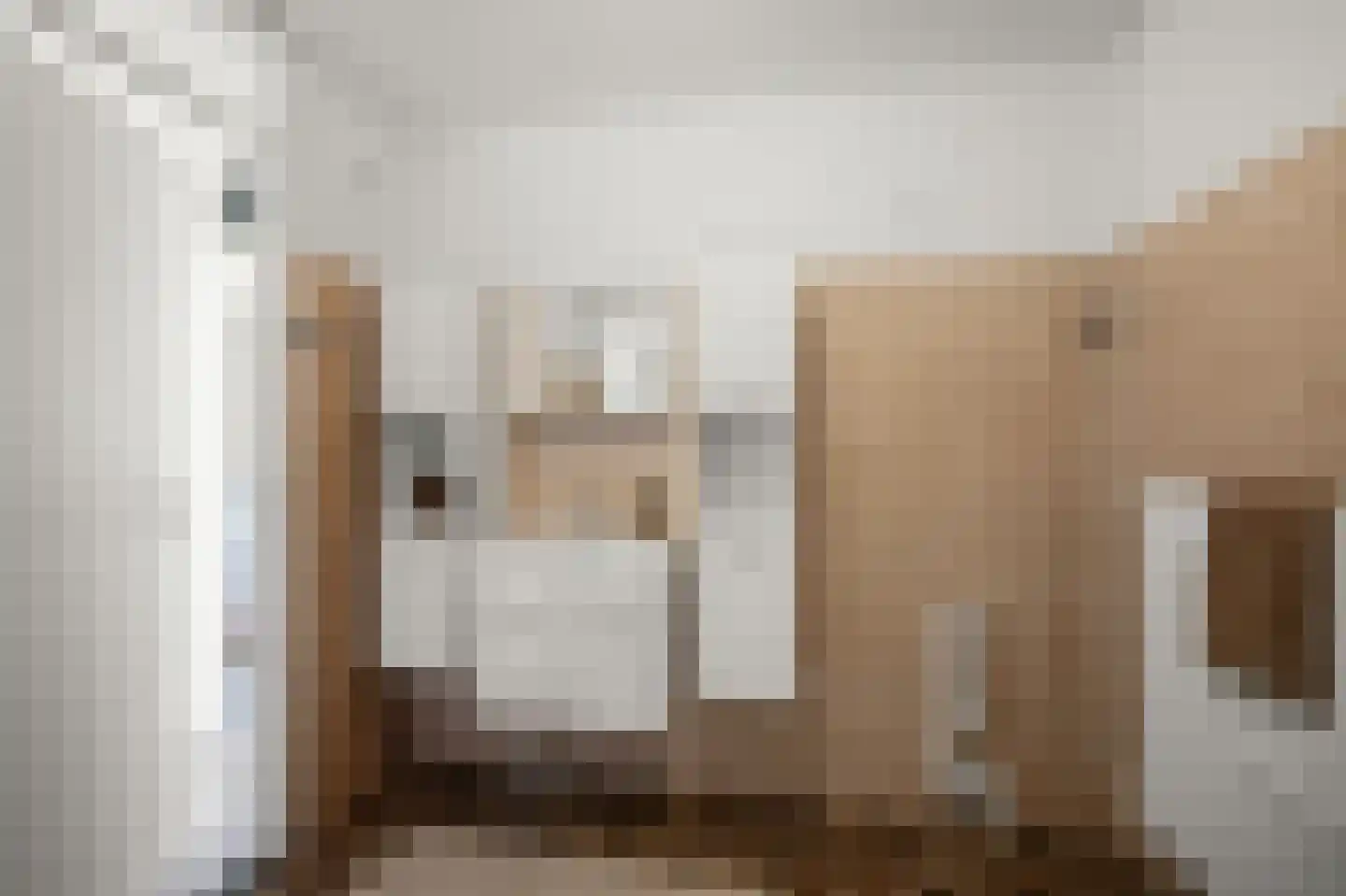 Marie Jungiusstraat 19 Heemskerk thumbnail 31