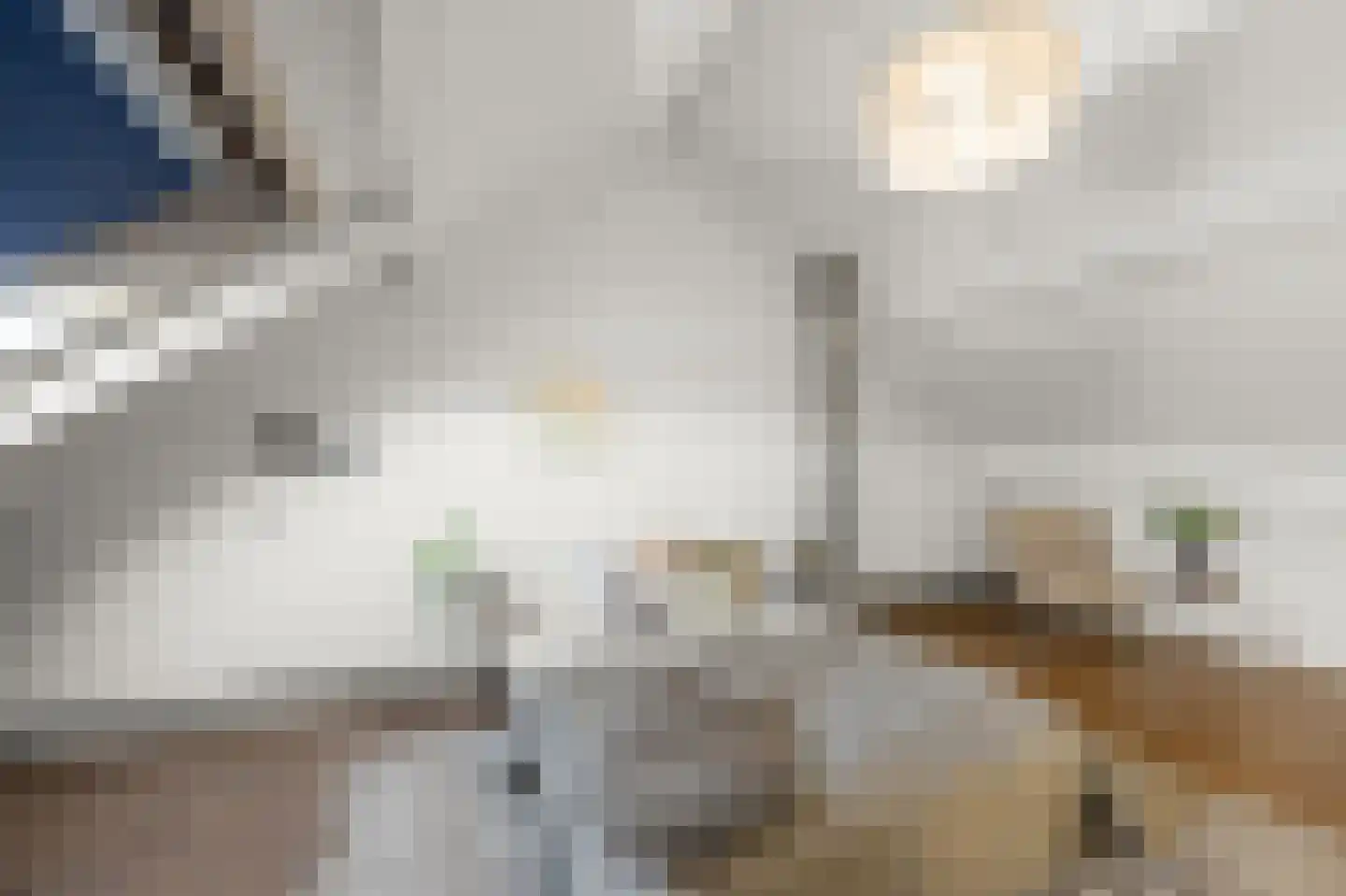 Marie Jungiusstraat 19 Heemskerk thumbnail 34