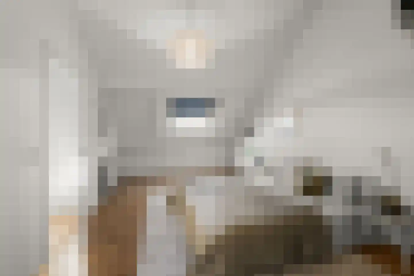 Marie Jungiusstraat 19 Heemskerk thumbnail 36