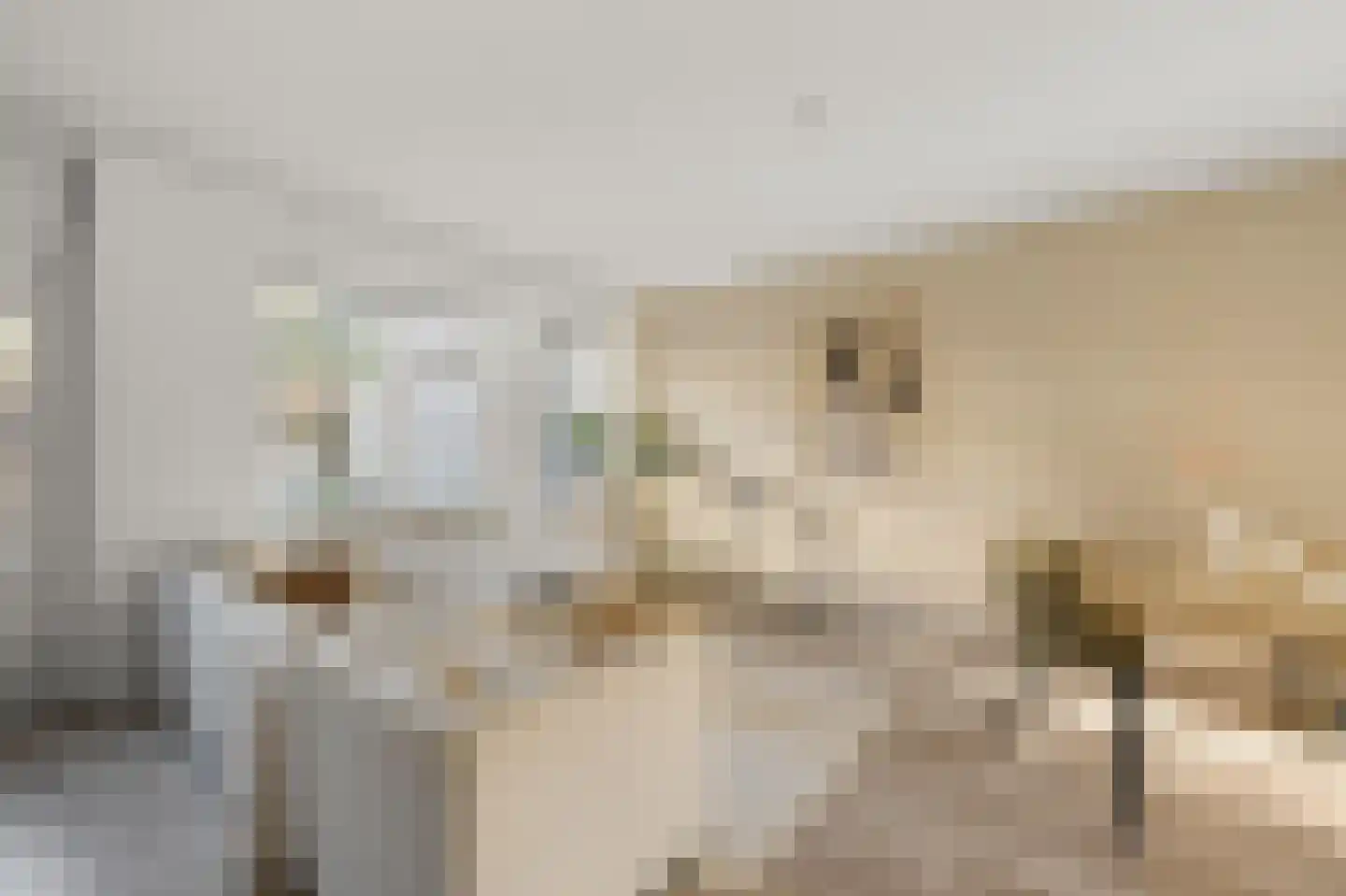 Marie Jungiusstraat 19 Heemskerk thumbnail 5