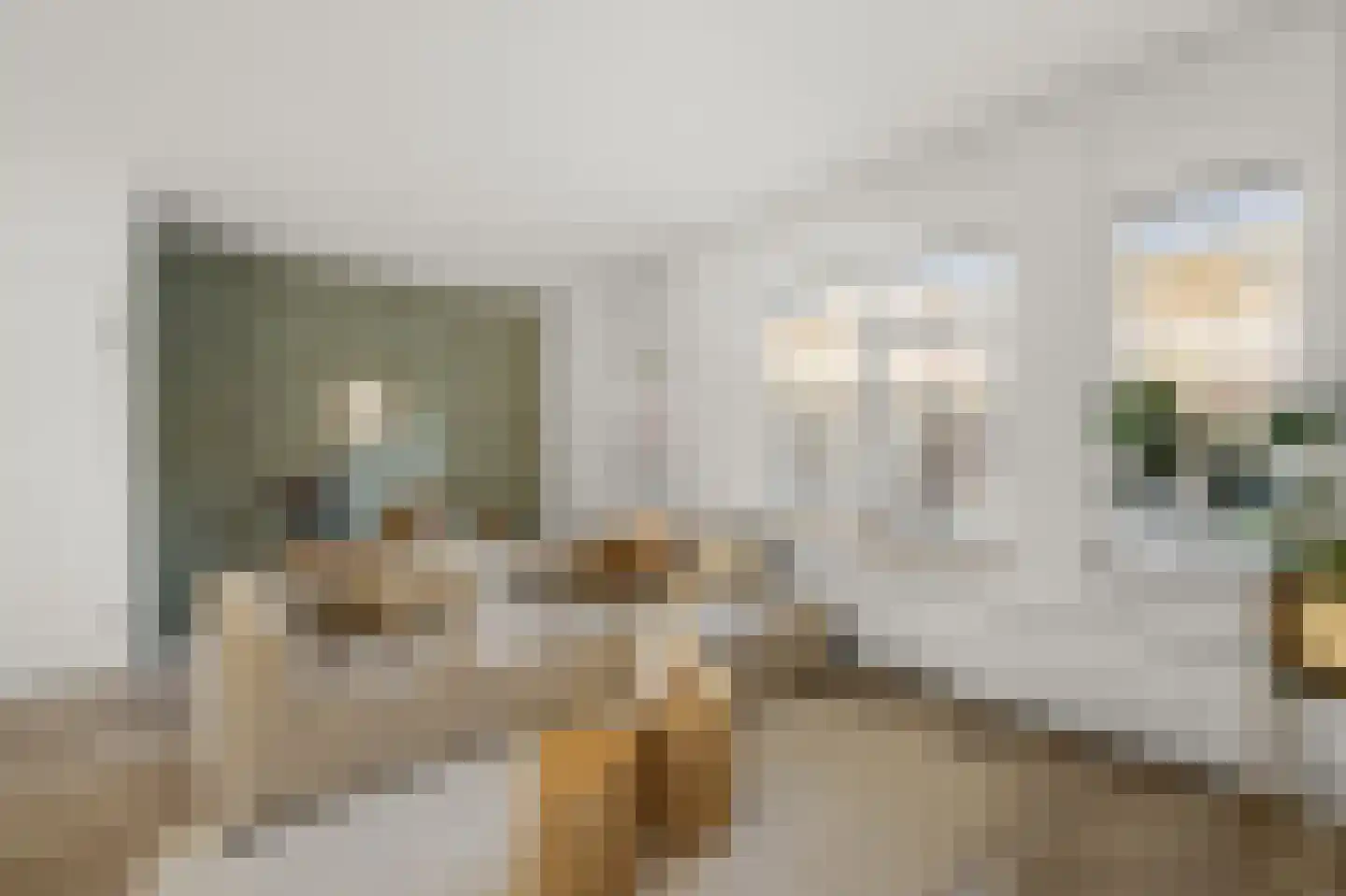 Marie Jungiusstraat 19 Heemskerk thumbnail 6