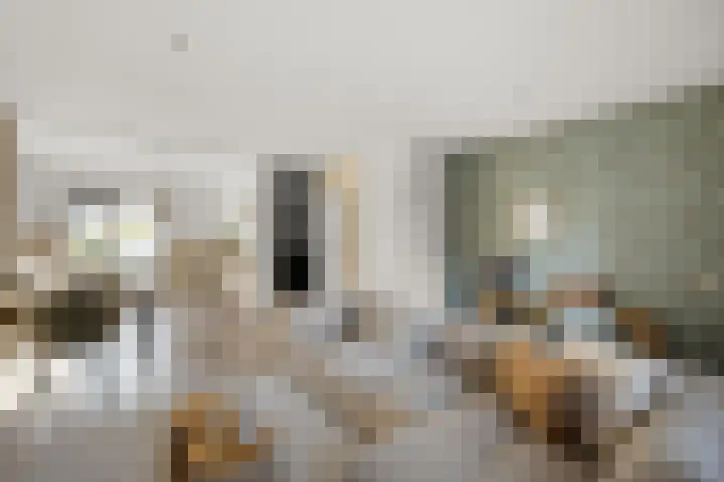 Marie Jungiusstraat 19 Heemskerk thumbnail 7