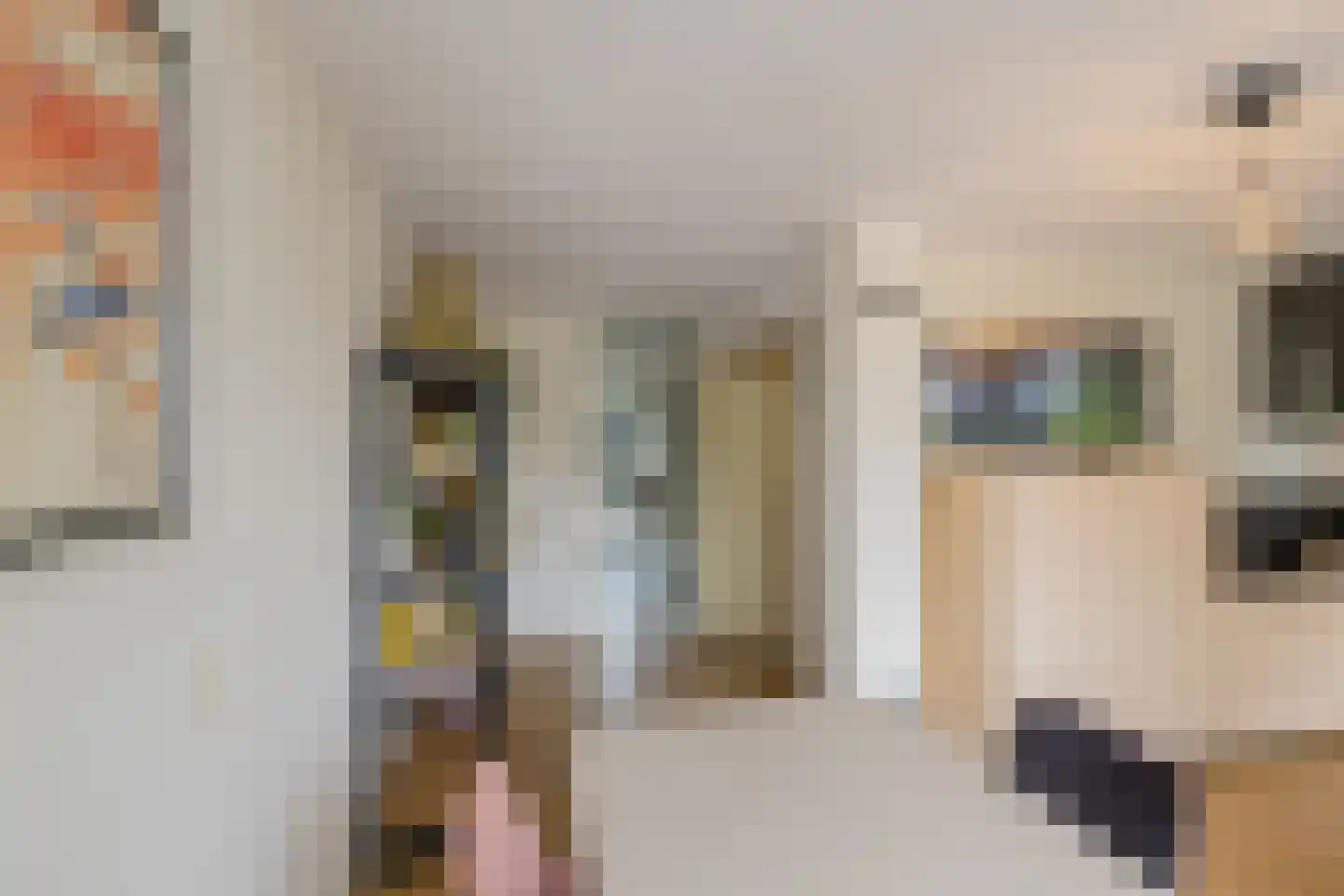 Marie Jungiusstraat 25 Velserbroek thumbnail 10