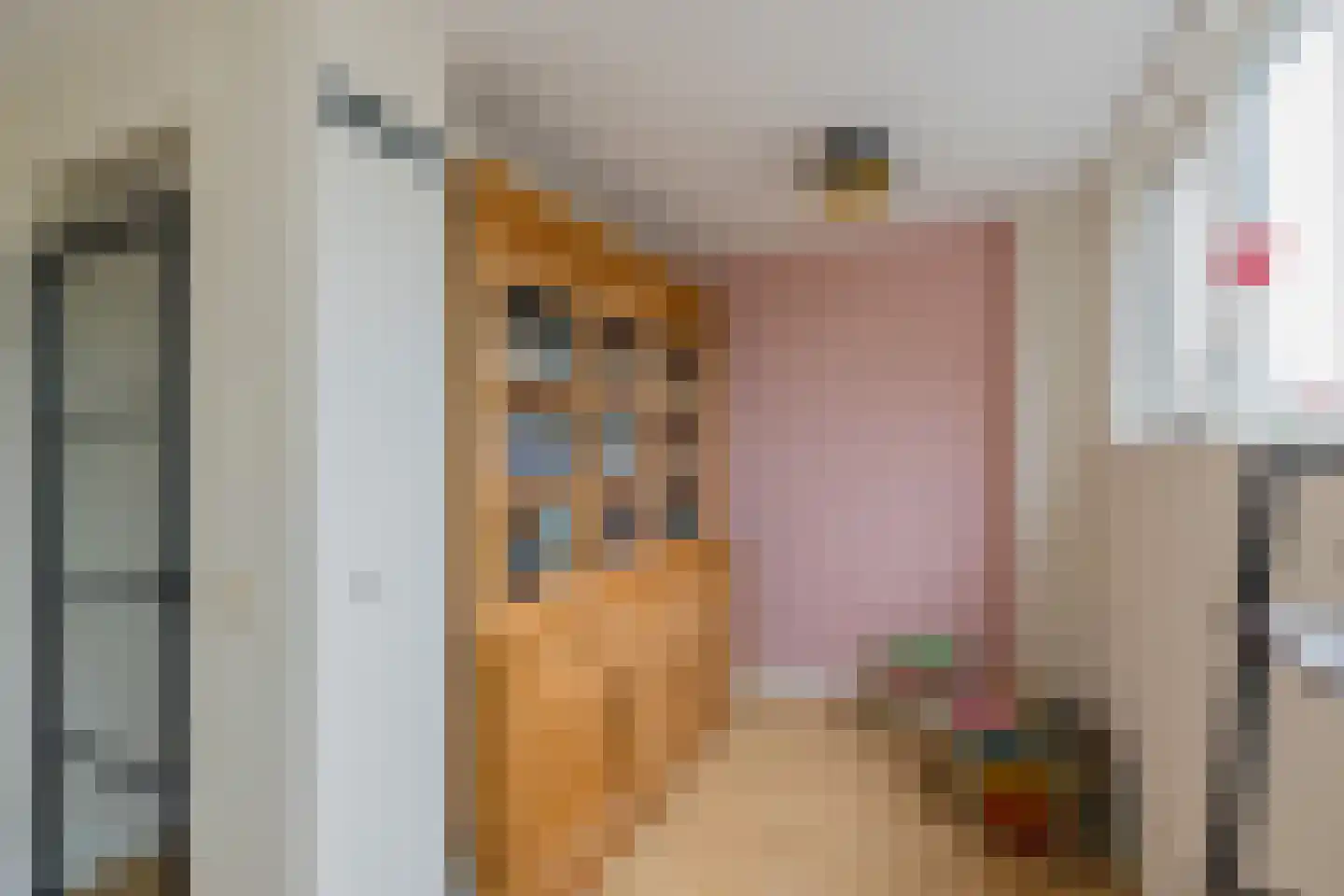 Marie Jungiusstraat 25 Velserbroek thumbnail 36