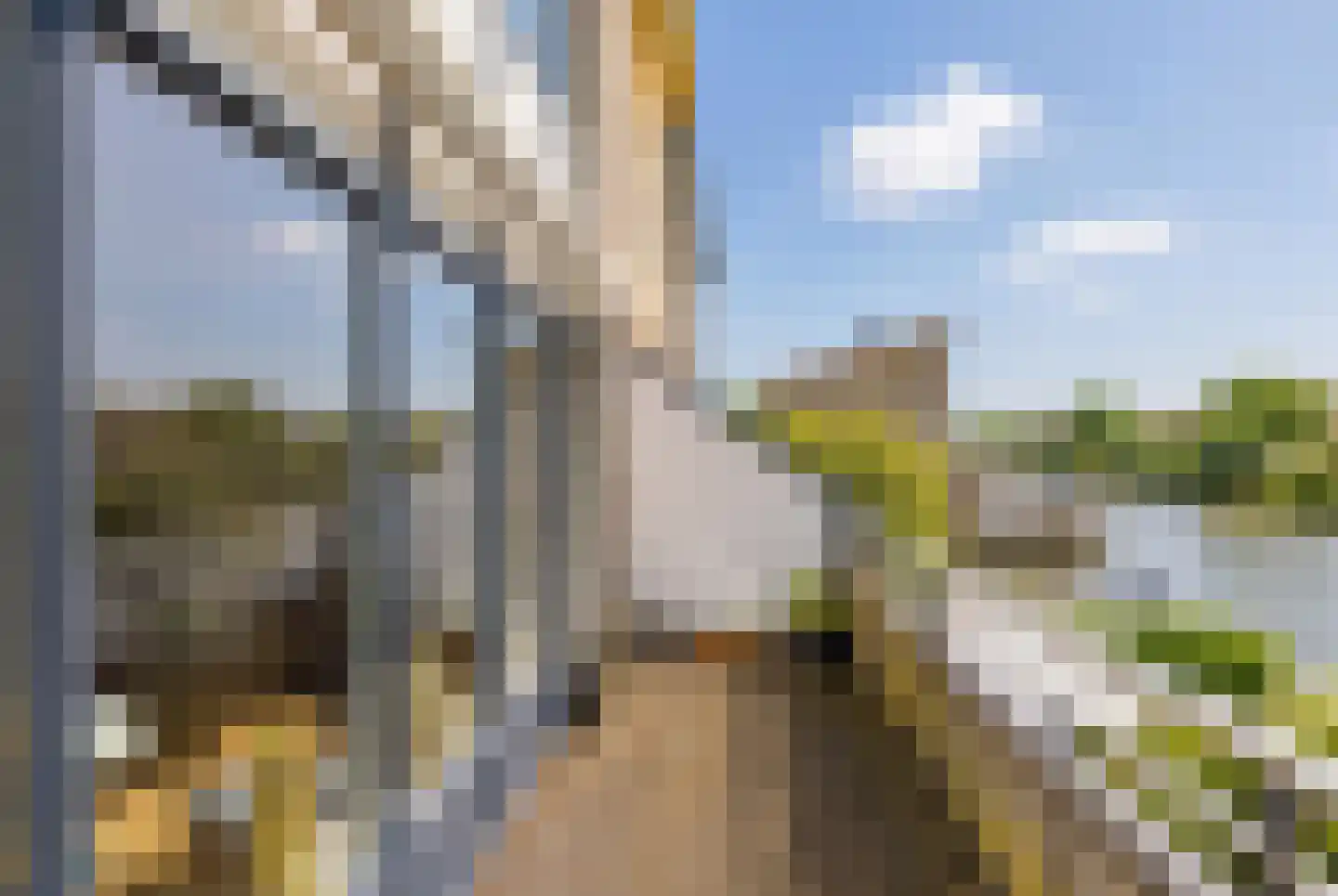 Marie Jungiusstraat 25 Velserbroek thumbnail 4