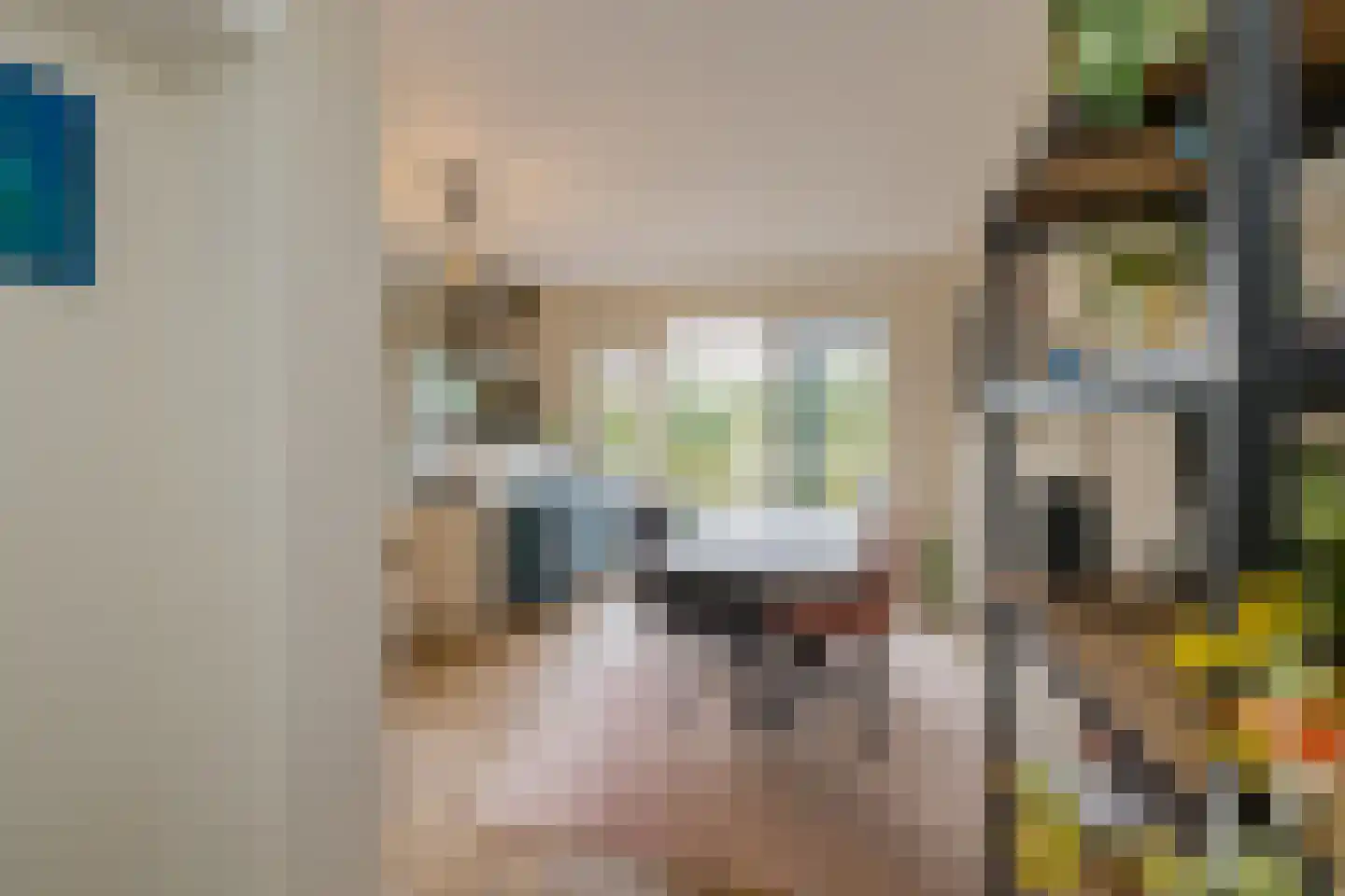 Marie Jungiusstraat 25 Velserbroek thumbnail 9
