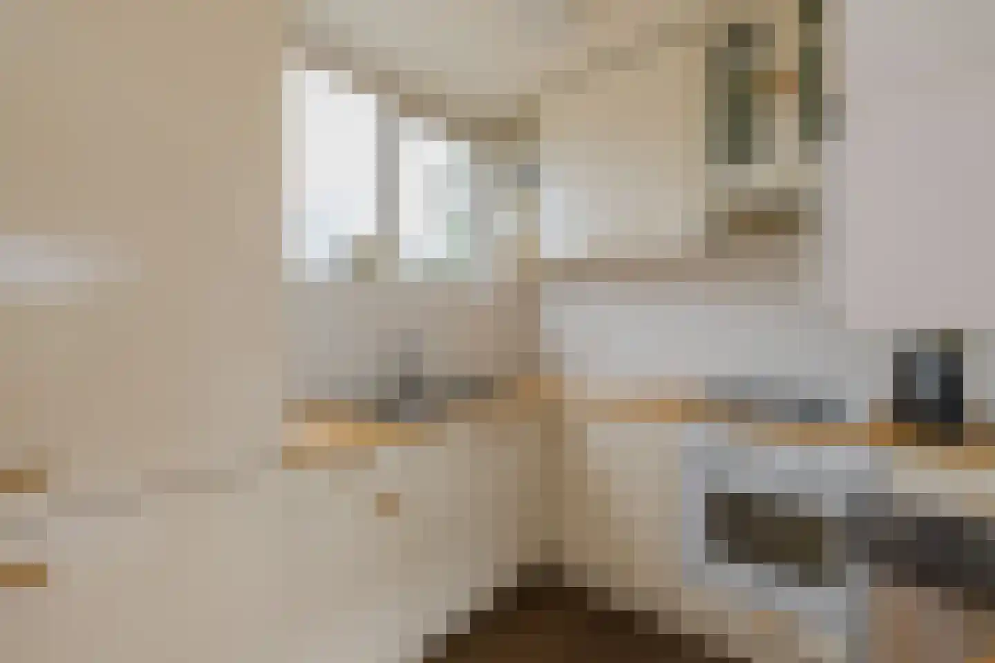Marie Jungiusstraat 27 Velserbroek thumbnail 30