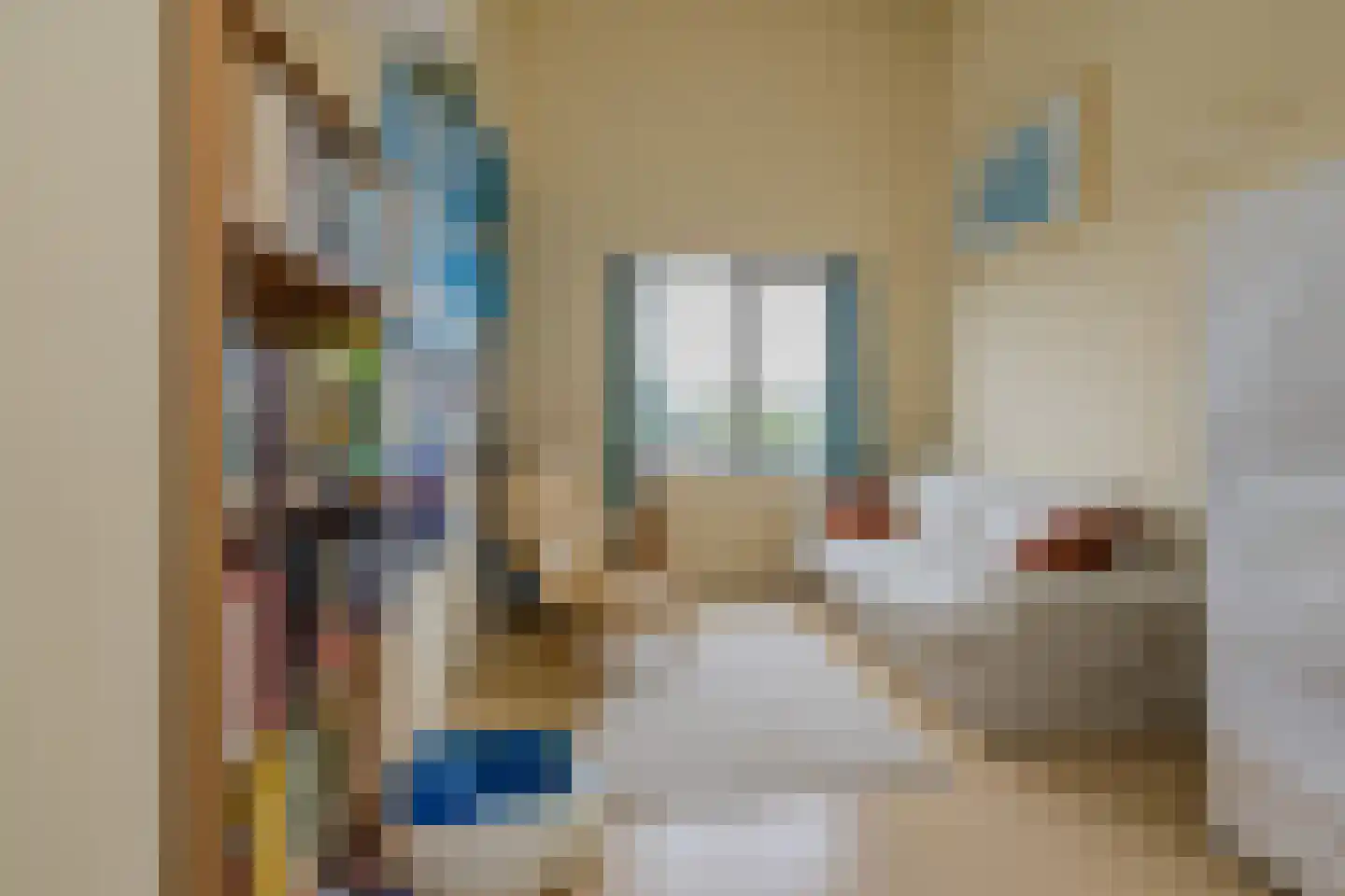 Marie Jungiusstraat 27 Velserbroek thumbnail 32