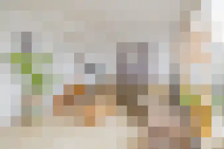 Marie Jungiusstraat 31 Velserbroek thumbnail 21