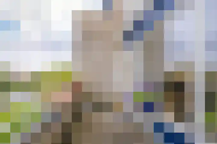 Marie Jungiusstraat 31 Velserbroek thumbnail 25