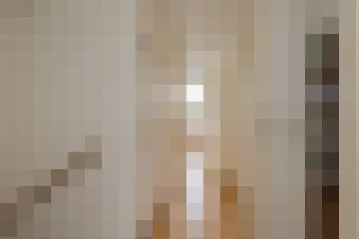 Marie Jungiusstraat 31 Velserbroek thumbnail 33