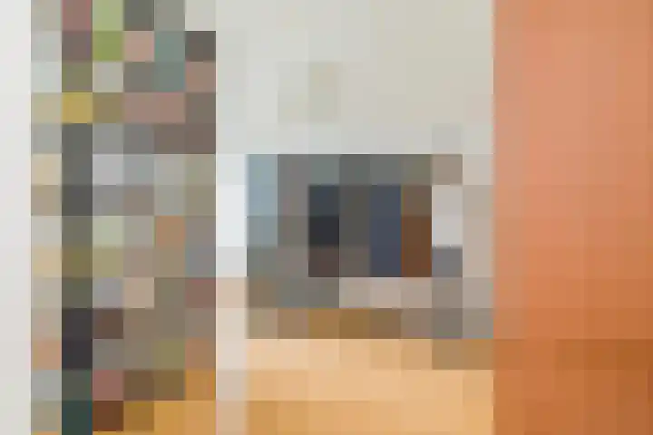 Marie Jungiusstraat 31 Velserbroek thumbnail 35