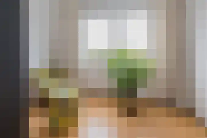 Marie Jungiusstraat 31 Velserbroek thumbnail 38