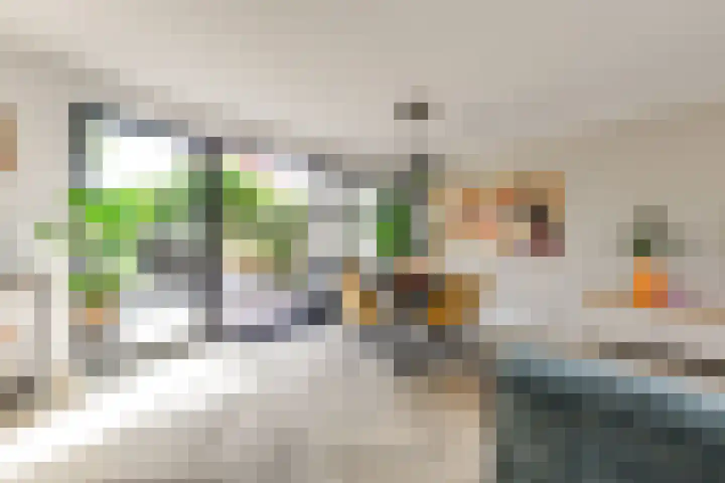 Marie Jungiusstraat 9 Leiden thumbnail 10