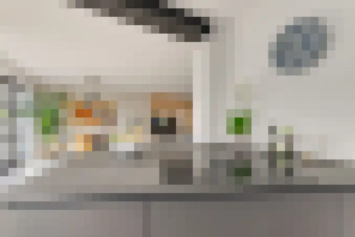 Marie Jungiusstraat 9 Leiden thumbnail 18