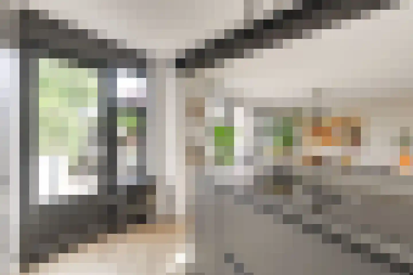 Marie Jungiusstraat 9 Leiden thumbnail 19