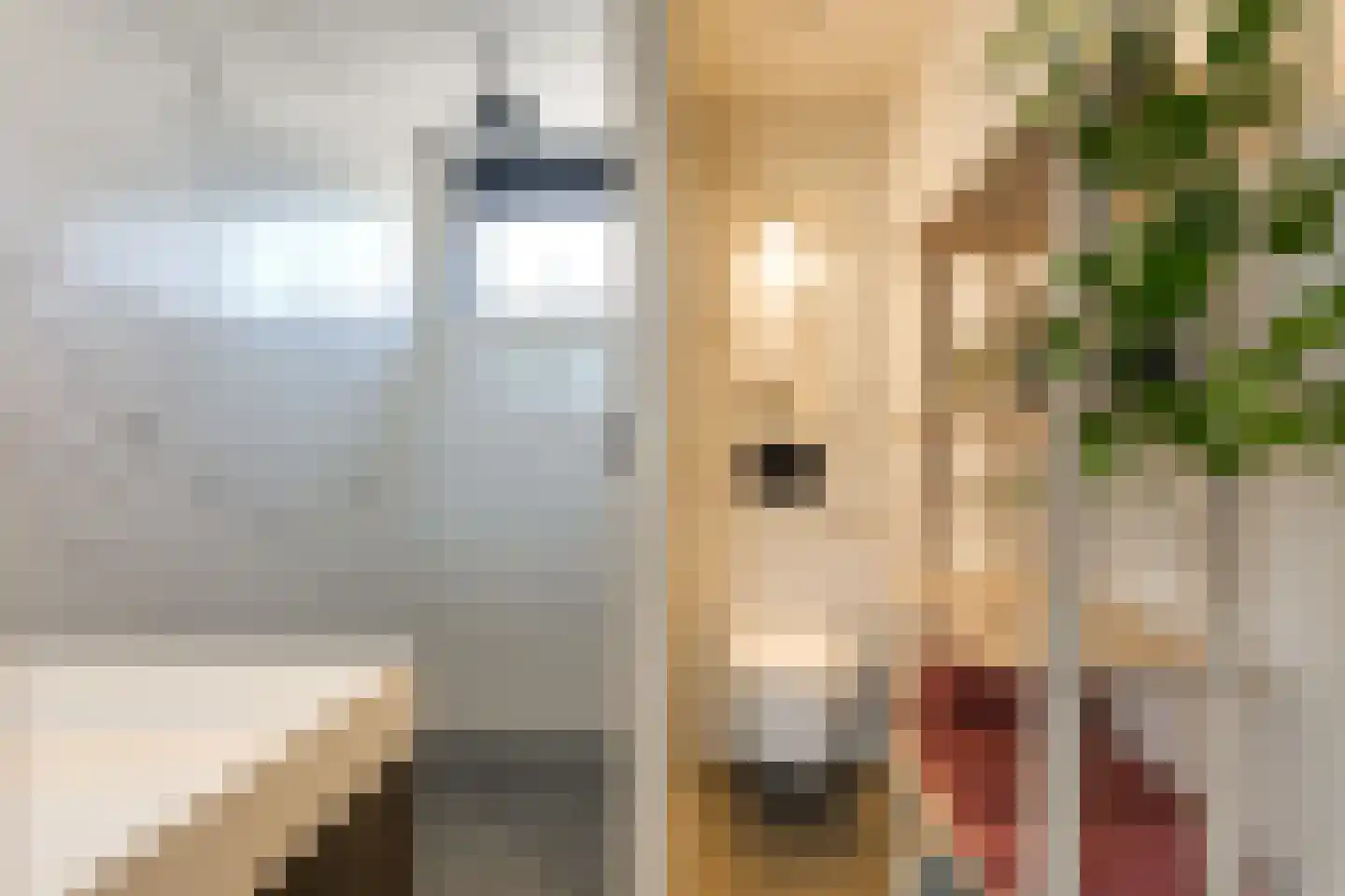 Marie Jungiusstraat 9 Leiden thumbnail 39
