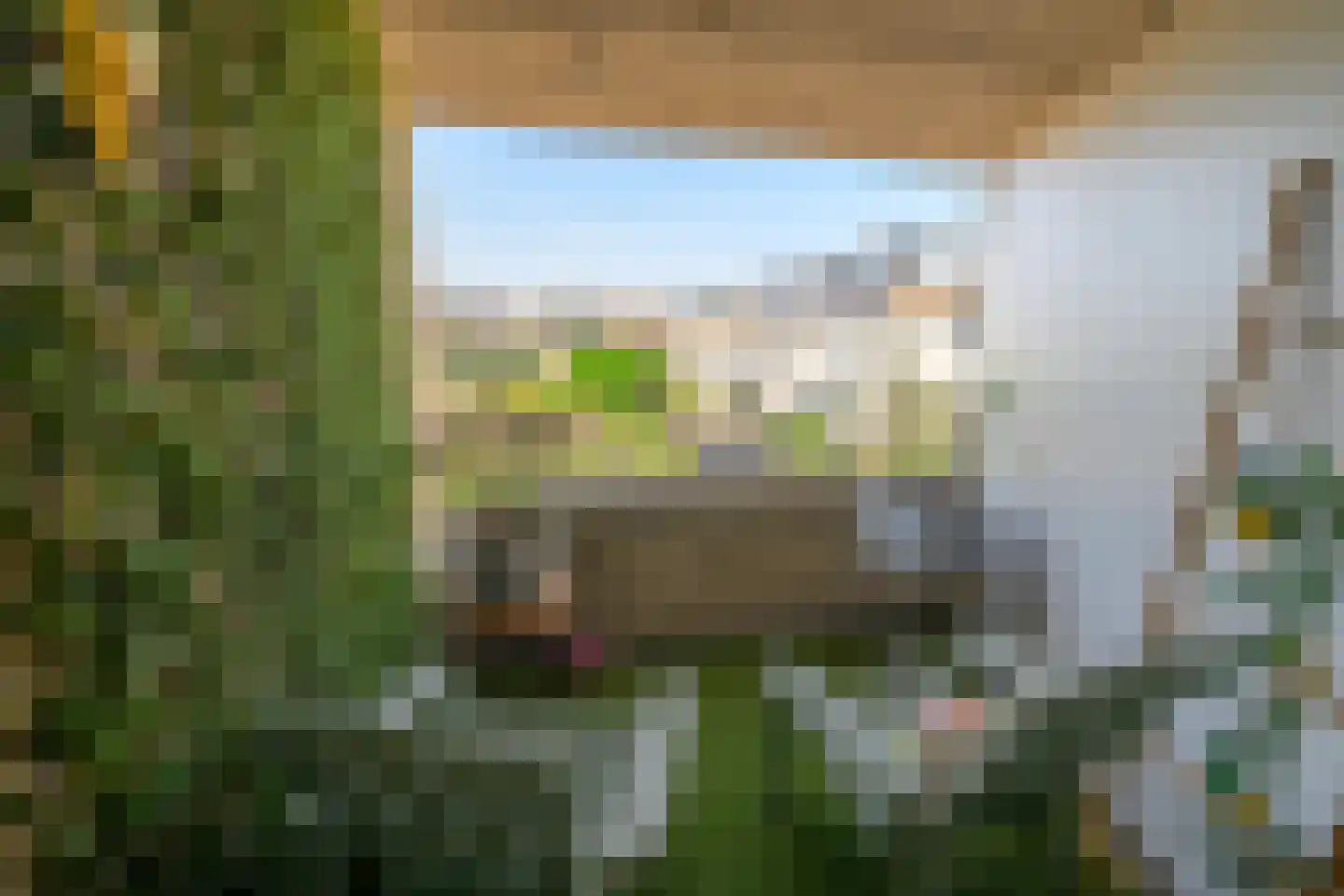 Marie Jungiusstraat 9 Leiden thumbnail 42