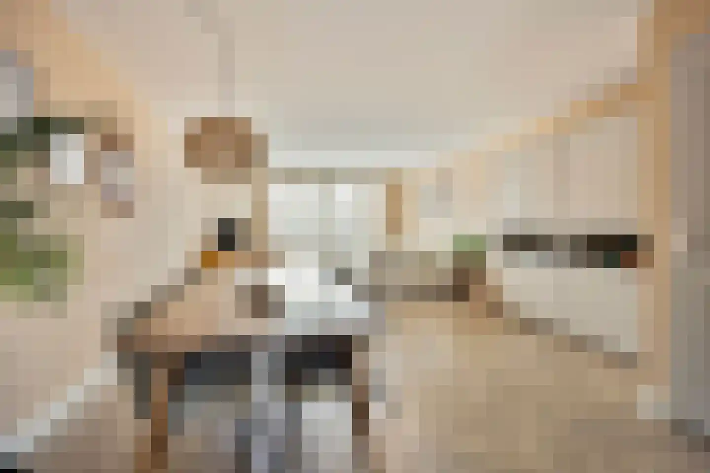 Marie Jungiustuin 1 Heerhugowaard thumbnail 17