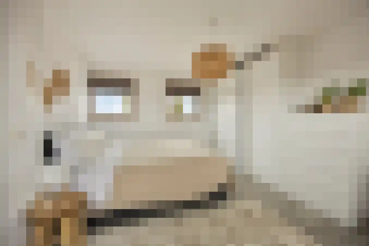 Marie Jungiustuin 1 Heerhugowaard thumbnail 39