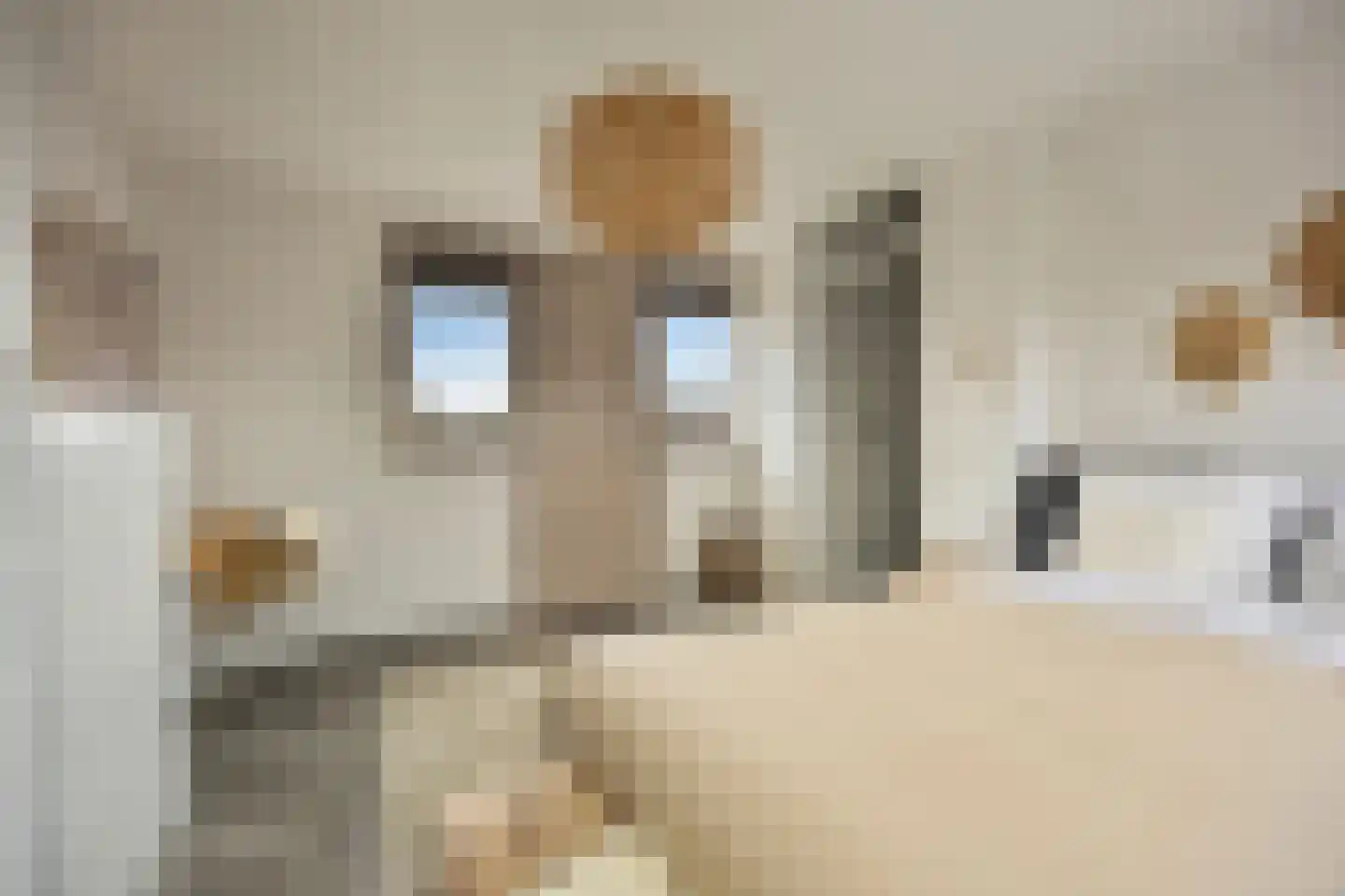 Marie Jungiustuin 1 Heerhugowaard thumbnail 40