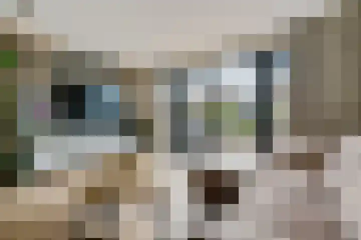 Marie Jungiustuin 10 Heerhugowaard thumbnail 10