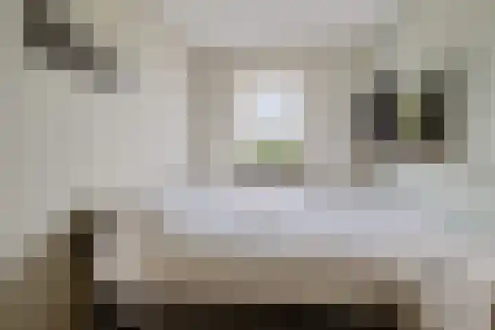Marie Jungiustuin 10 Heerhugowaard thumbnail 22