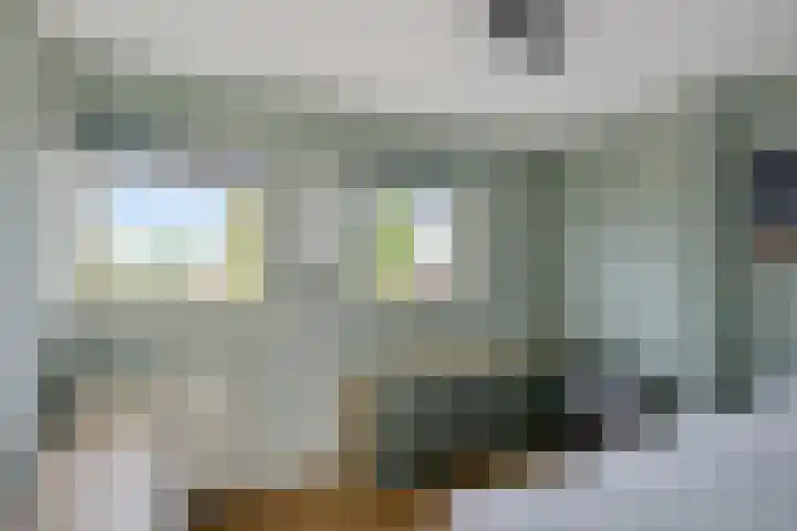 Marie Jungiustuin 10 Heerhugowaard thumbnail 28
