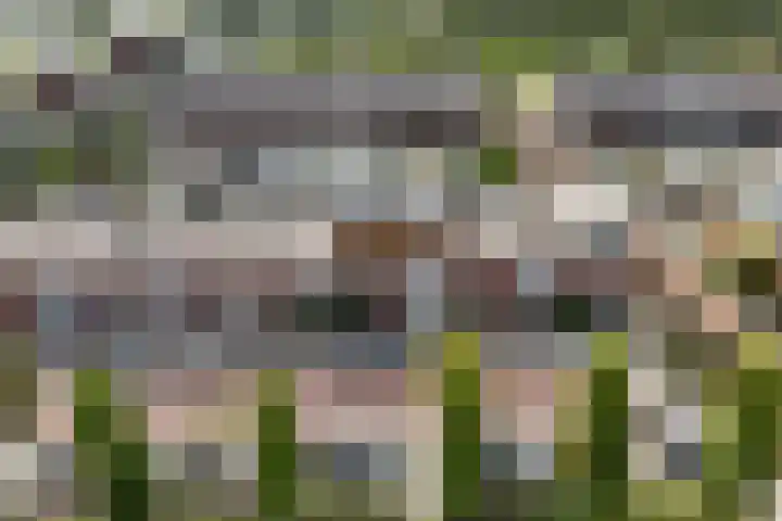 Marie Jungiustuin 10 Heerhugowaard thumbnail 30