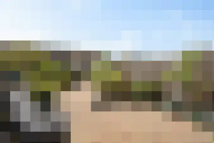 Marie Jungiustuin 10 Heerhugowaard thumbnail 32