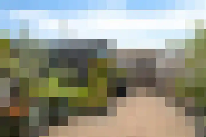Marie Jungiustuin 10 Heerhugowaard thumbnail 33