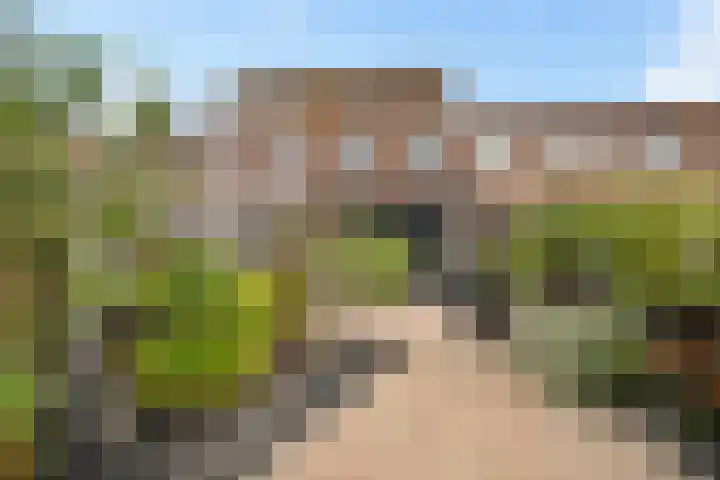 Marie Jungiustuin 10 Heerhugowaard thumbnail 35