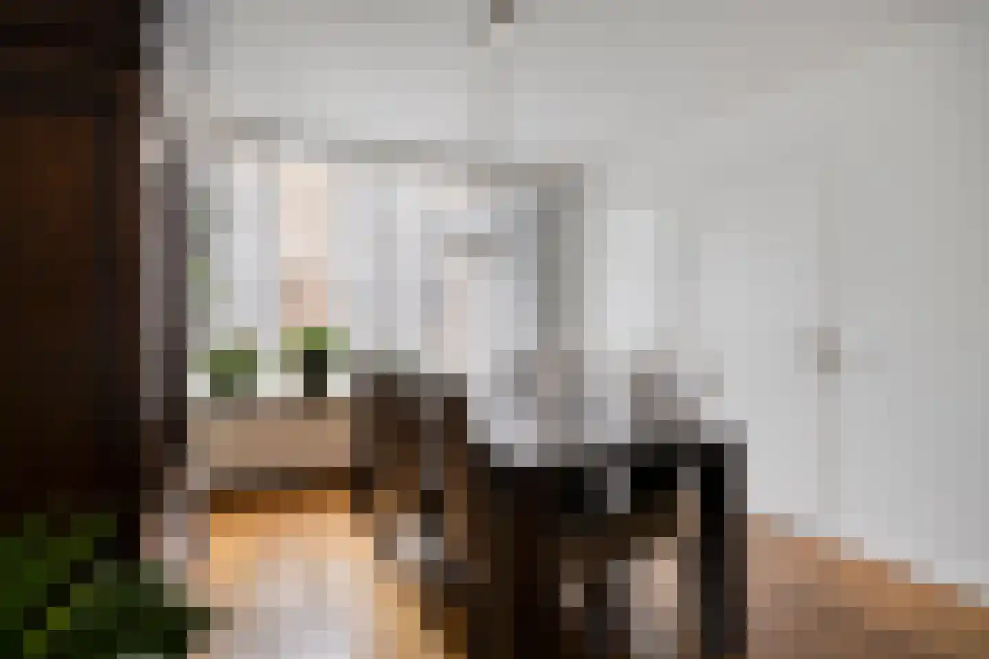 Marie Koenenlaan 153 Tilburg thumbnail 15