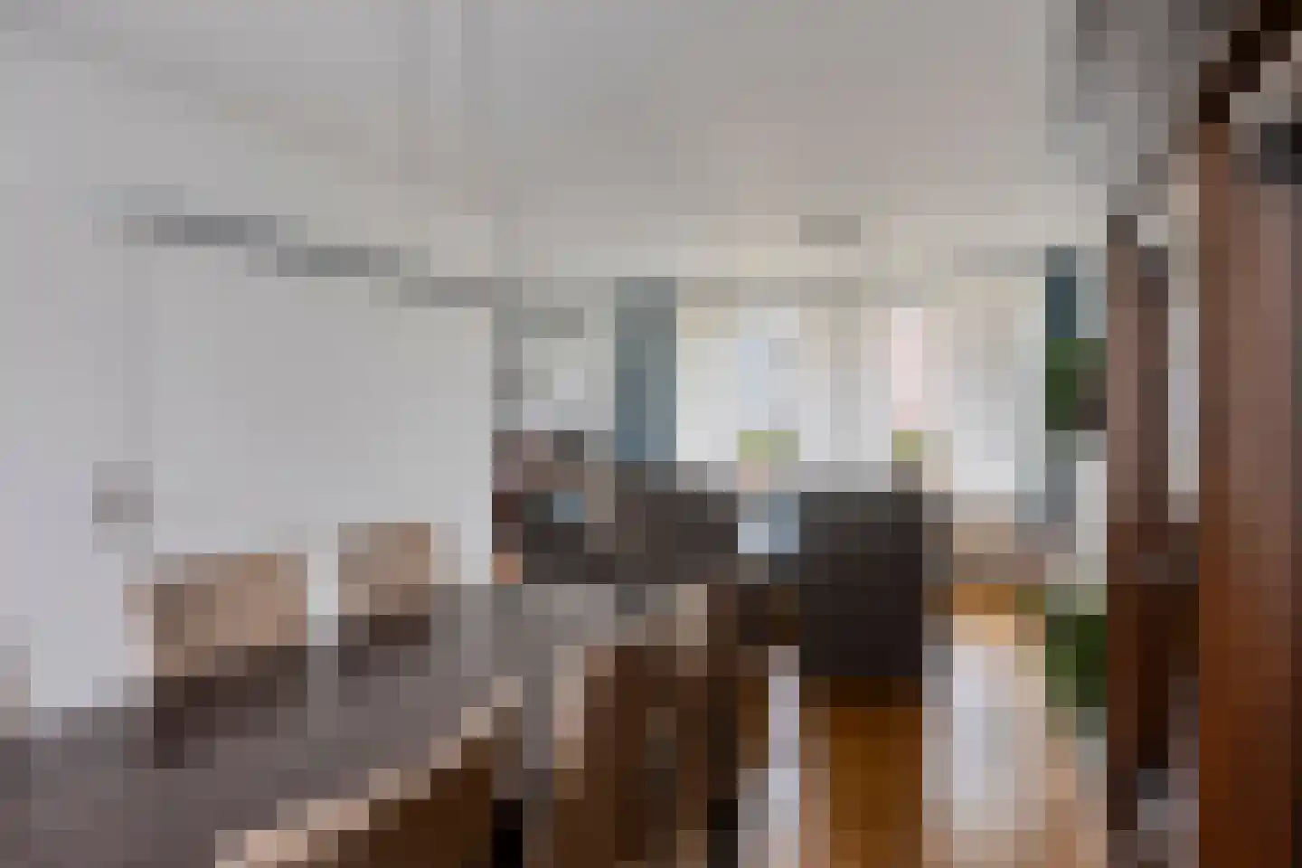 Marie Koenenlaan 153 Tilburg thumbnail 16