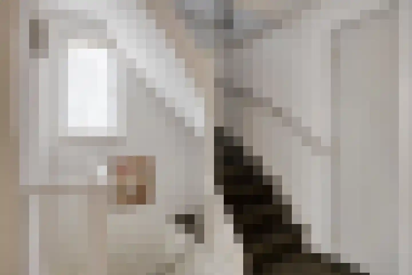 Marie Koenenlaan 153 Tilburg thumbnail 19