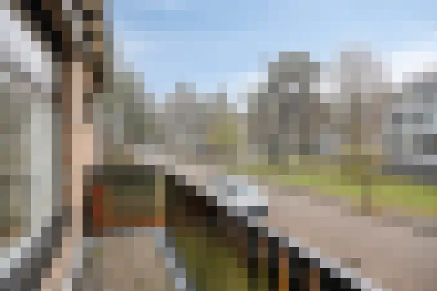 Marie Koenenlaan 153 Tilburg thumbnail 25