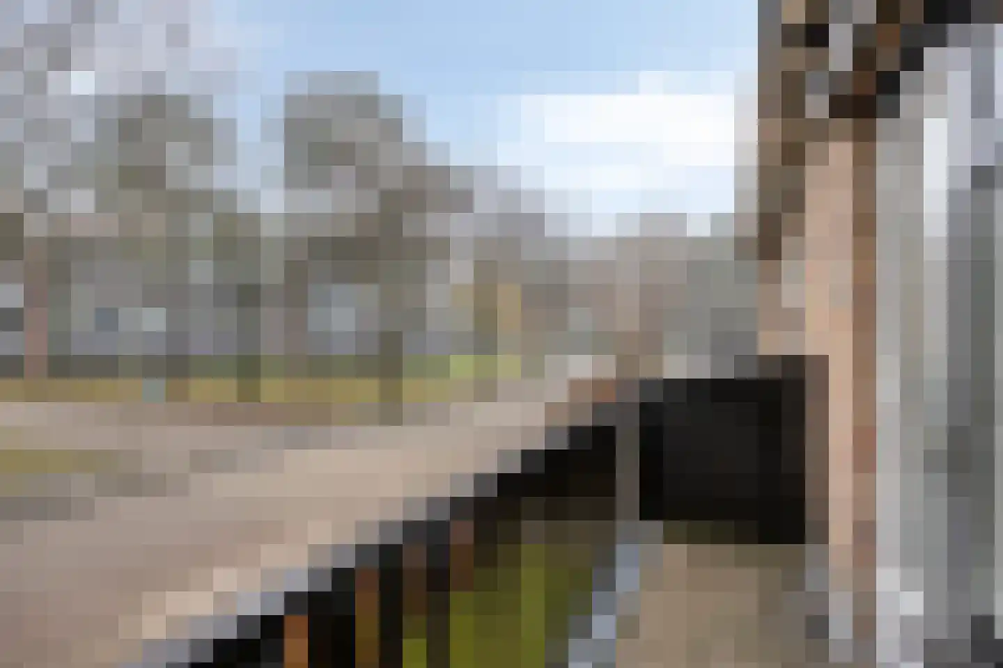 Marie Koenenlaan 153 Tilburg thumbnail 26