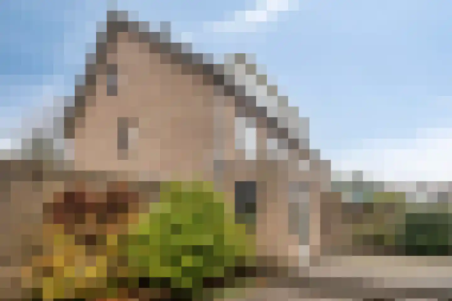 Marie Koenenlaan 153 Tilburg thumbnail 41