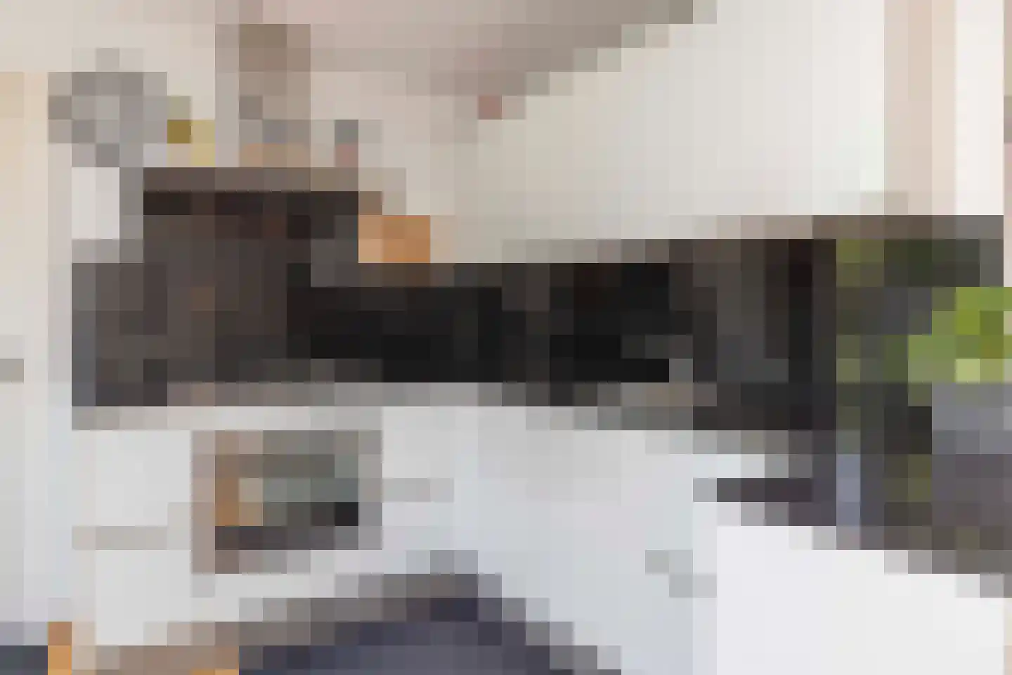 Marie Koenenlaan 157 Tilburg thumbnail 13