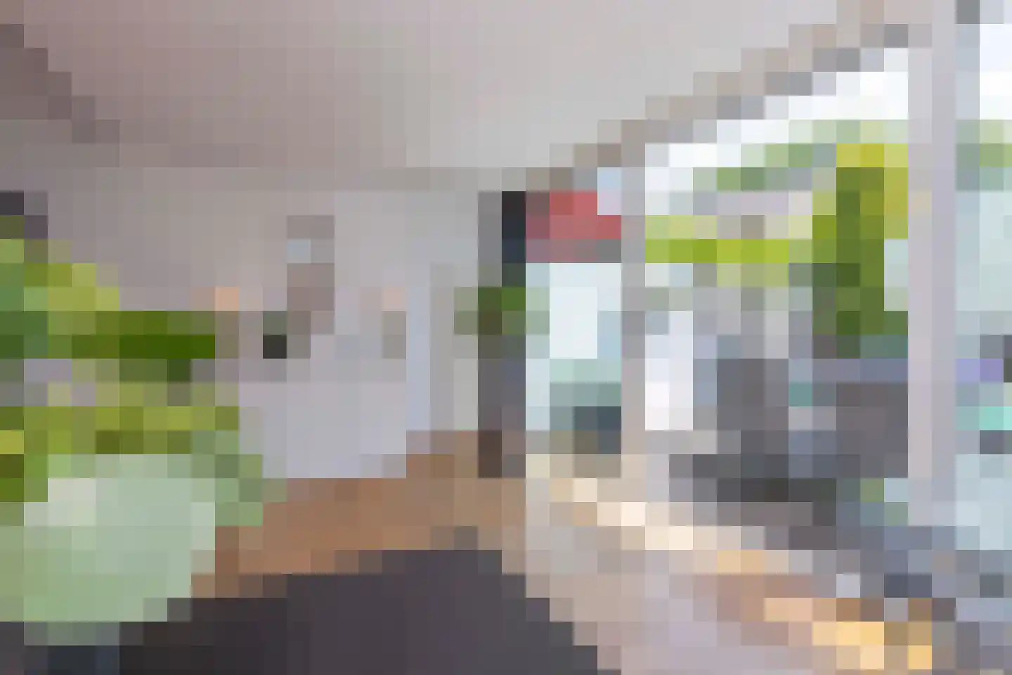 Marie Koenenlaan 157 Tilburg thumbnail 17