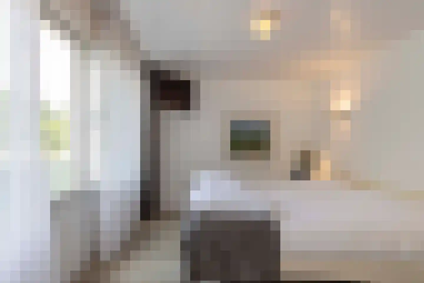 Marie Koenenlaan 157 Tilburg thumbnail 18