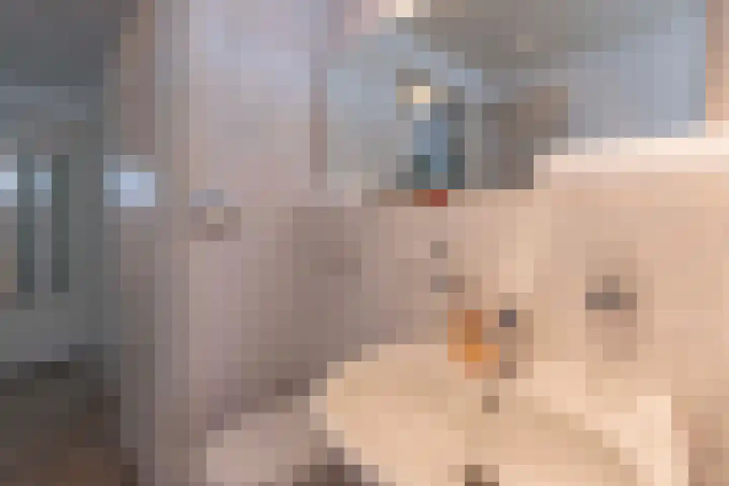 Marie Koenenlaan 157 Tilburg thumbnail 28