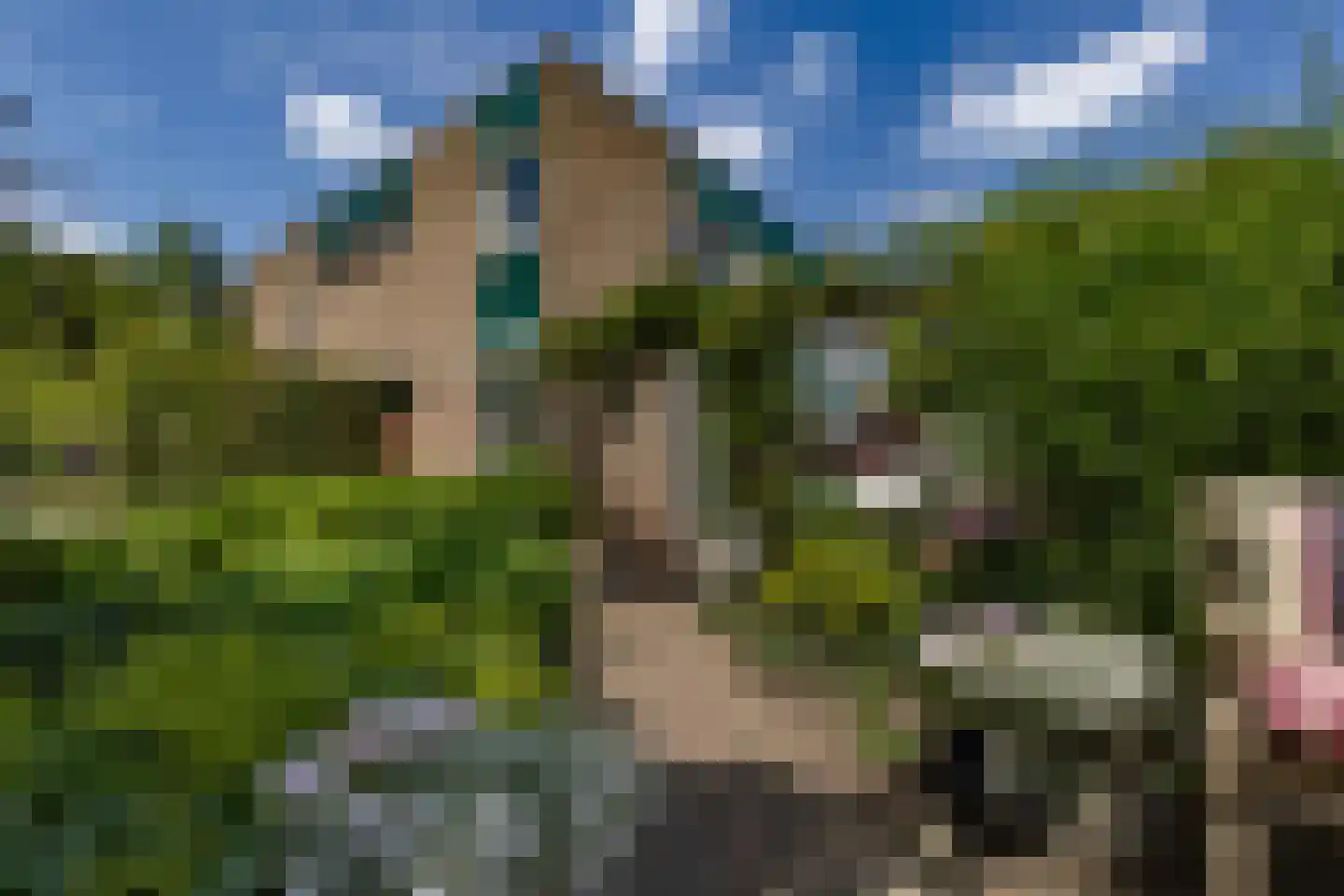 Marie Koenenlaan 157 Tilburg thumbnail 34