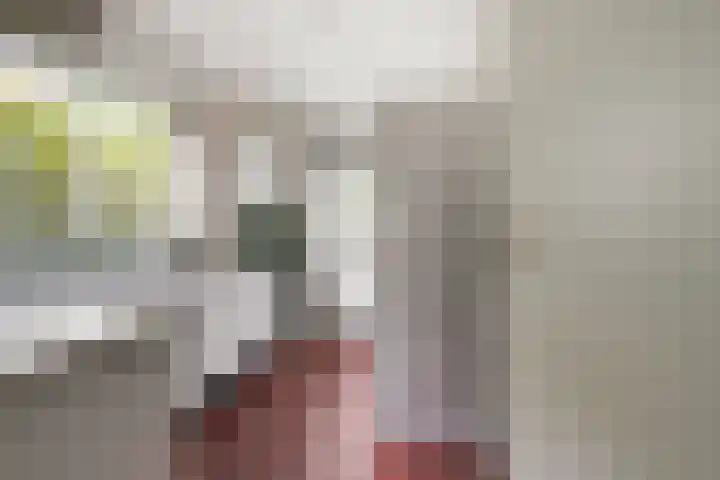 Marie Koenenlaan 24 Tilburg thumbnail 23