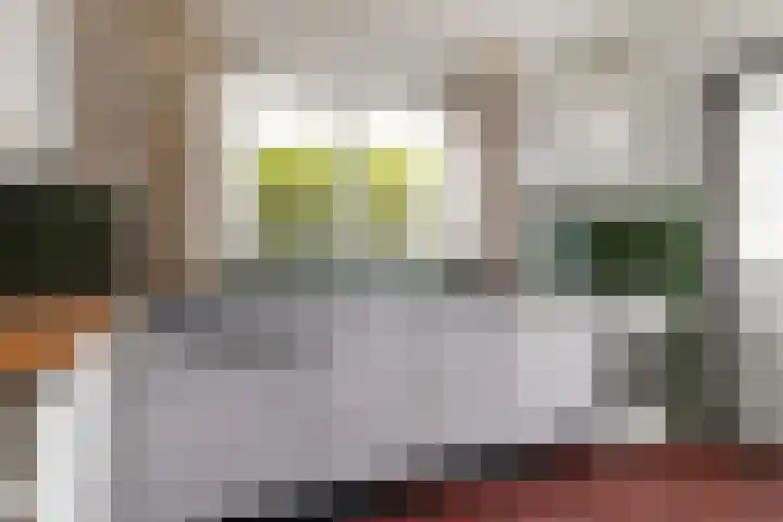 Marie Koenenlaan 24 Tilburg thumbnail 25