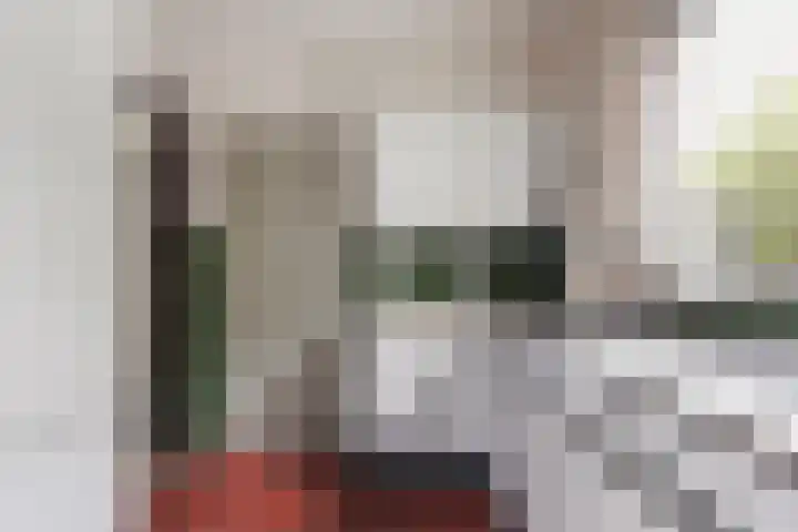 Marie Koenenlaan 24 Tilburg thumbnail 26