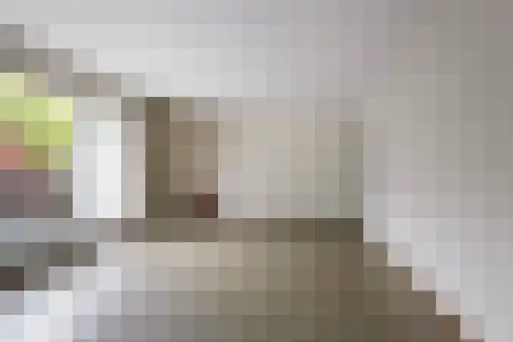 Marie Koenenlaan 24 Tilburg thumbnail 28